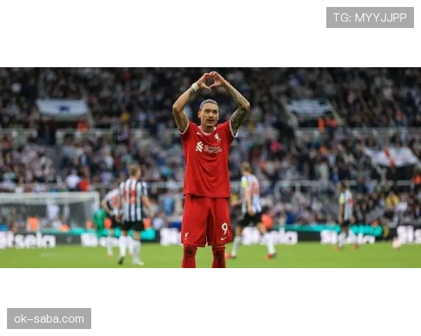 努涅斯为何未能兑现预期？解析其在利物浦的适应困境与表现落差